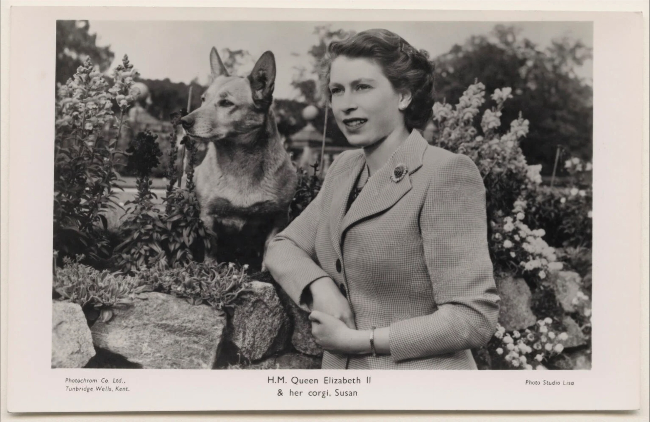 Queen Elizabeth II and her first welsh pembroke corgi, Susan - the perfect candidates for a pet trust.